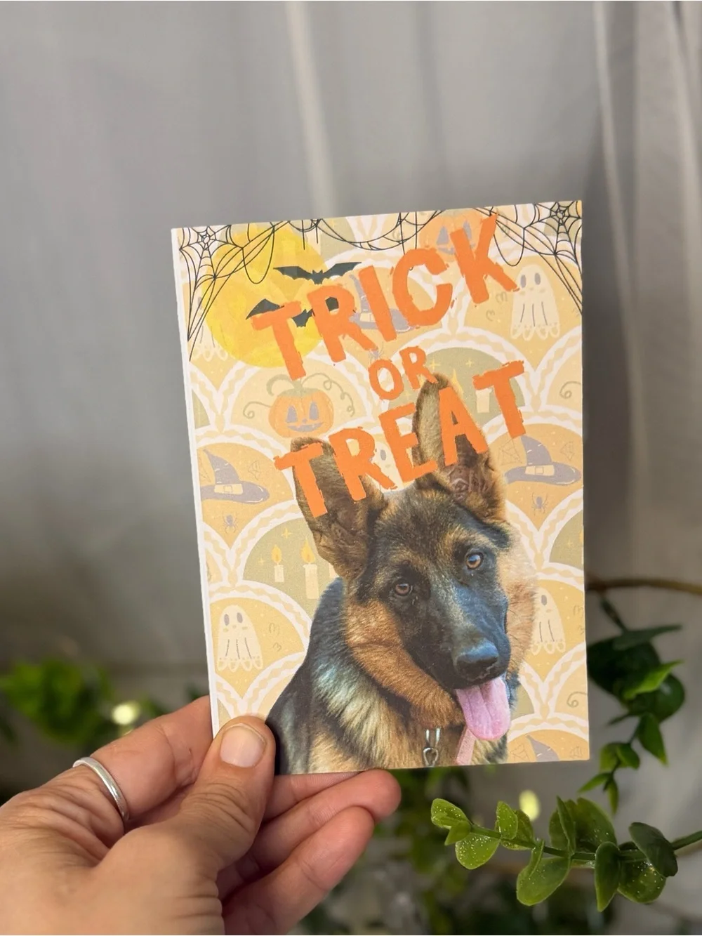German Shepherd Trick or Treat Halloween Greeting Cards 4x6 Set of 15